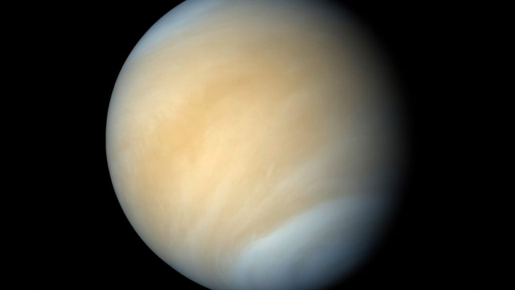 Life on Venus 4