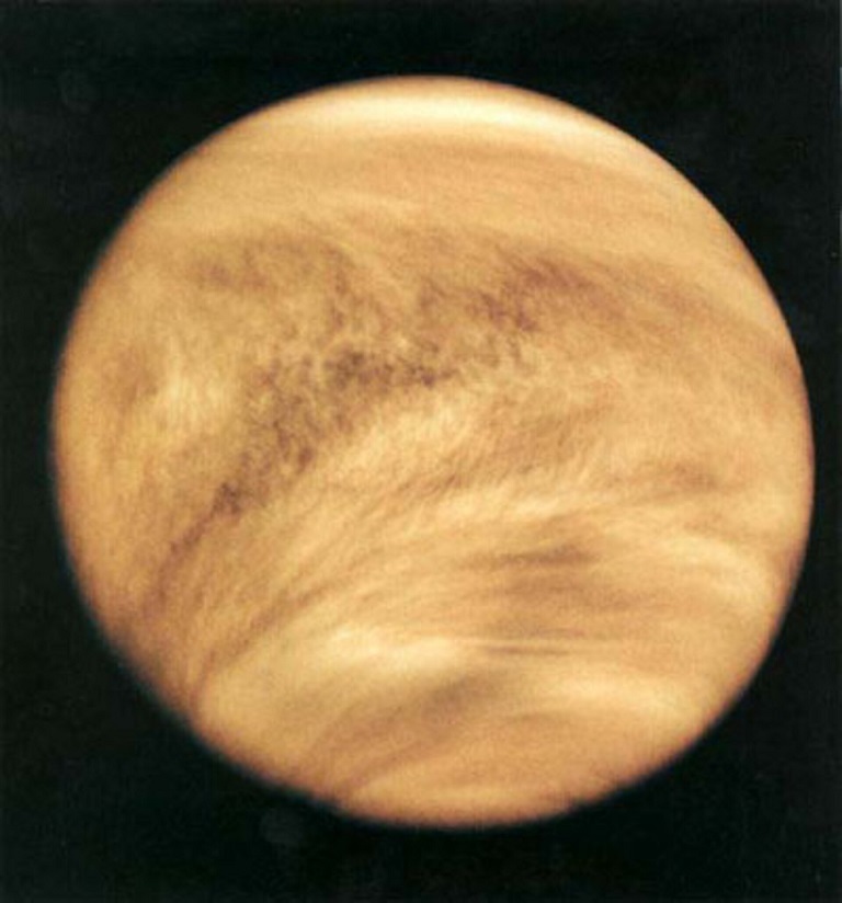 Life on Venus 3