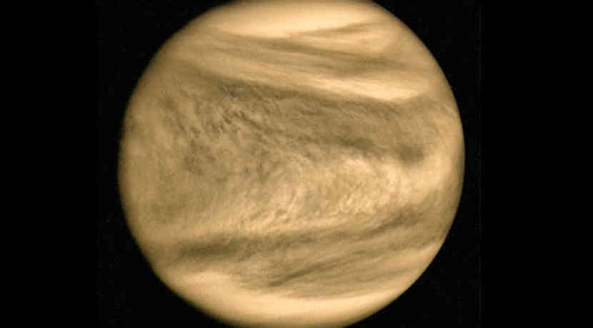 Life on Venus 5