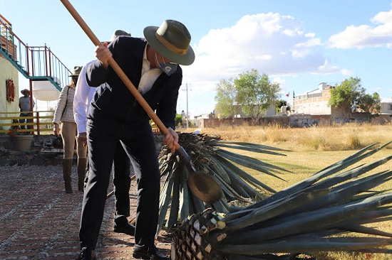 Agave Festival Guanajuato 3