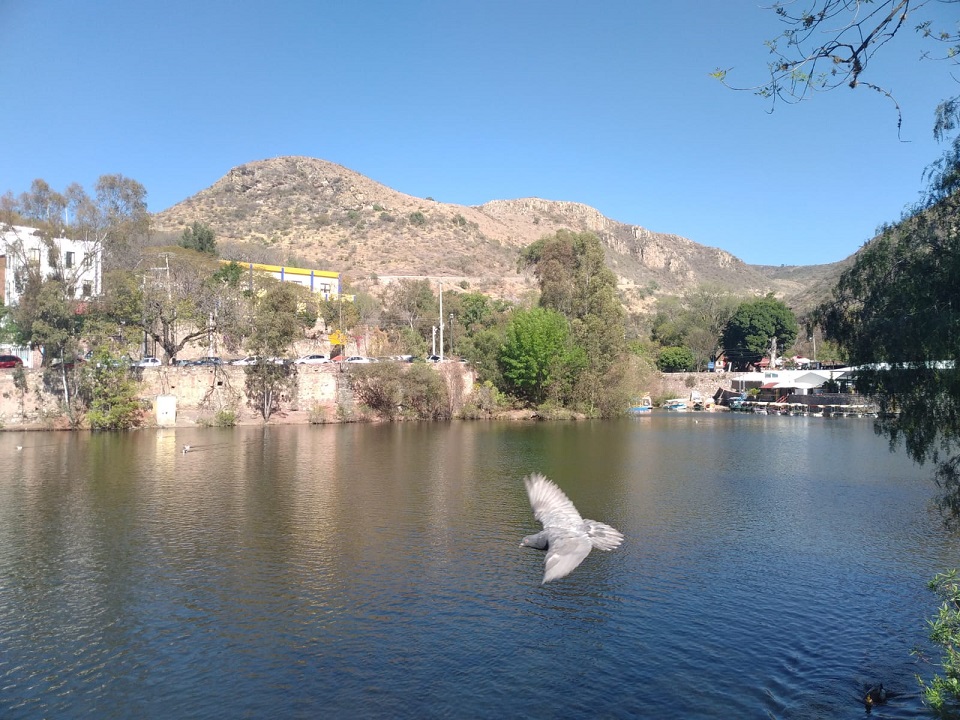 Touyrism Guanajuato Visitors 4