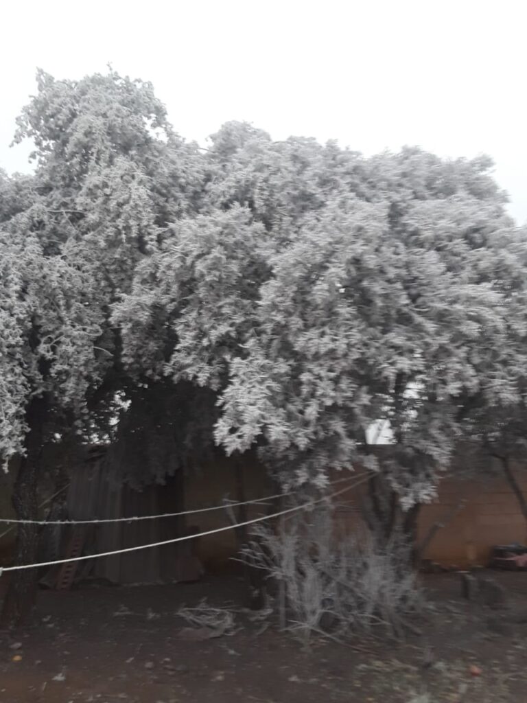 Cold North Guanajuato 5