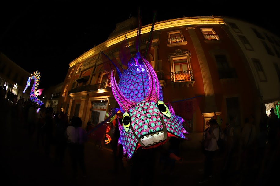 Leon Alebrijes Vacation 6