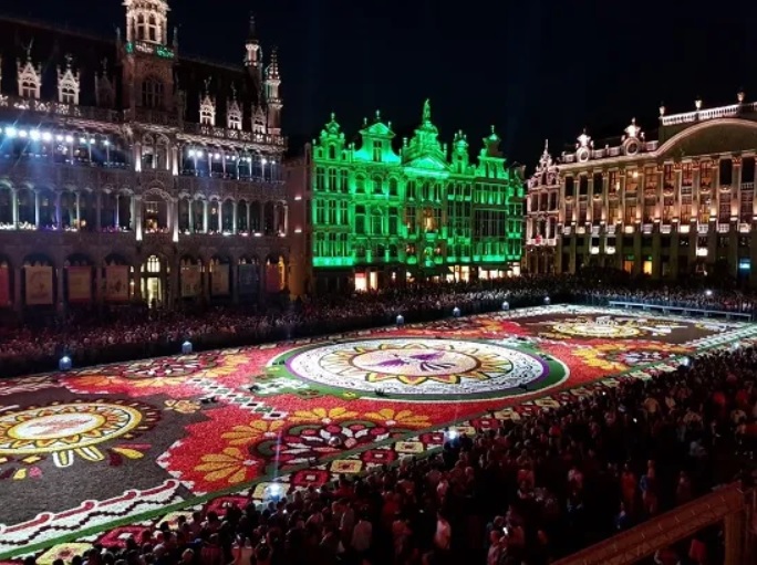 Flower Carpet Brussels Guanajuato 5