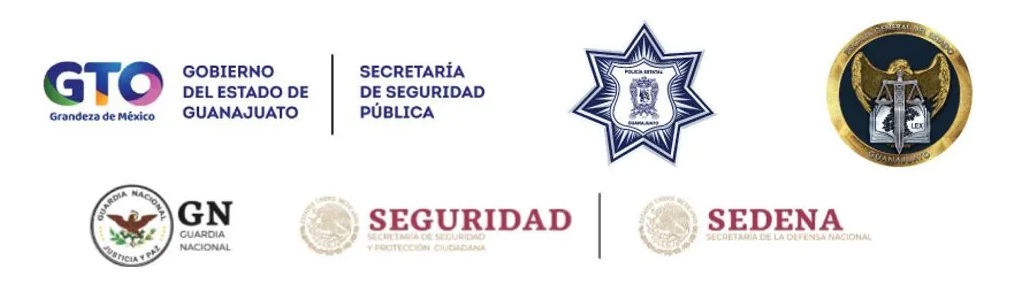 Operation Security 71 Arrested Guanajuato 3