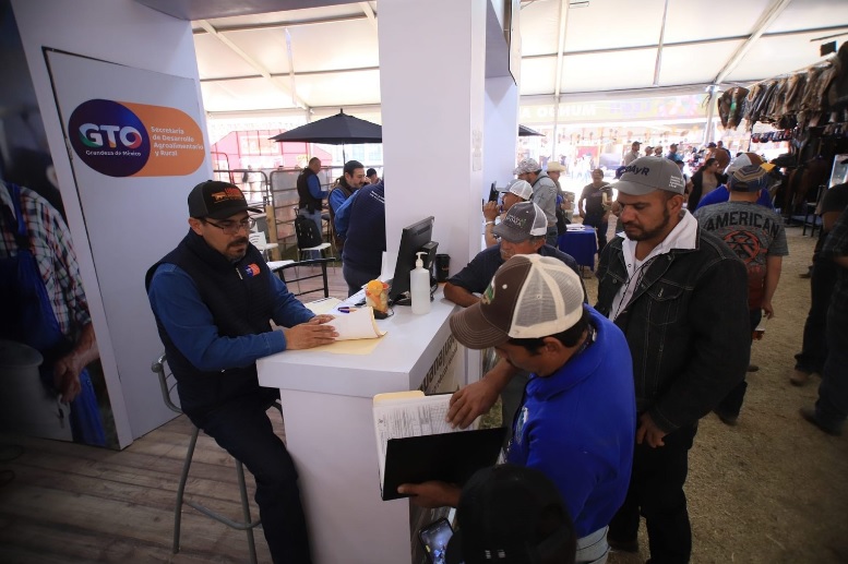 Bee BeeKeeping SDAyR Guanajuato 3