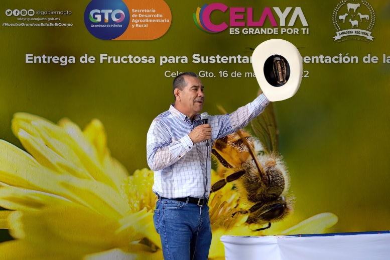 Bee BeeKeeping SDAyR Guanajuato 4