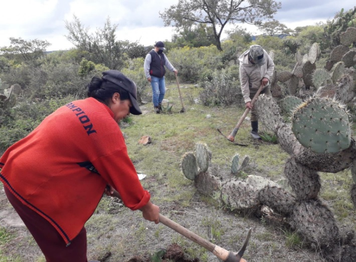 Pfrotection Environment Guanajuato 6