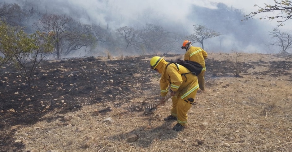 Guanajuato City Forest Fire 3