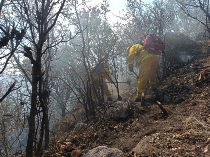 Guanajuato City Forest Fire 5