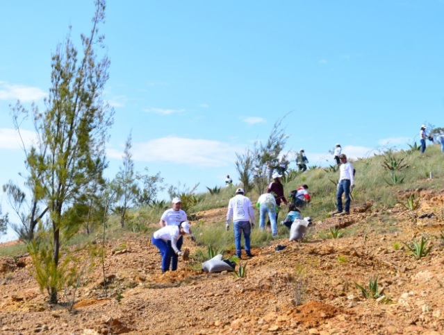 SMAOT Planting Trees Guanajuato 3