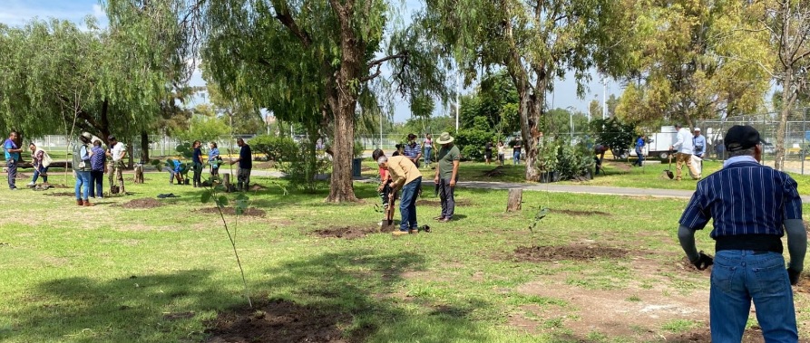 SMAOT Planting Trees Guanajuato 6