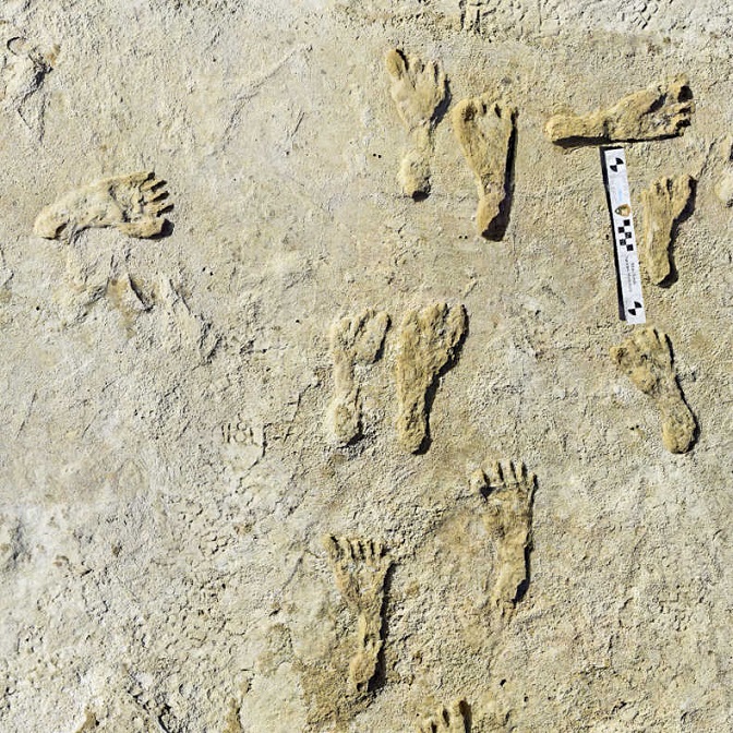 Footprints Early Age Humans Amerirca 8