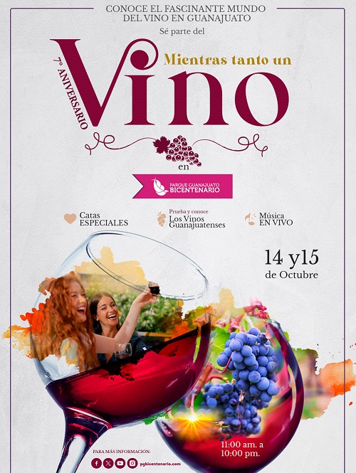 Meanwhile a Wine Bicentenario Guanajuato 5