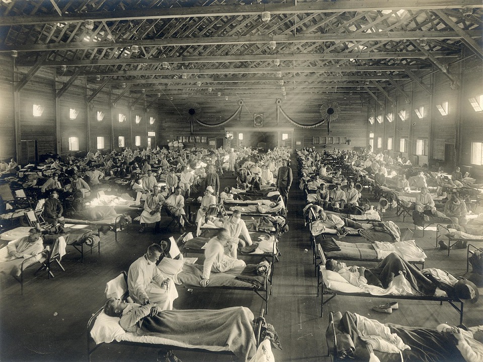 The 1918 flu pandemic and Covid 19