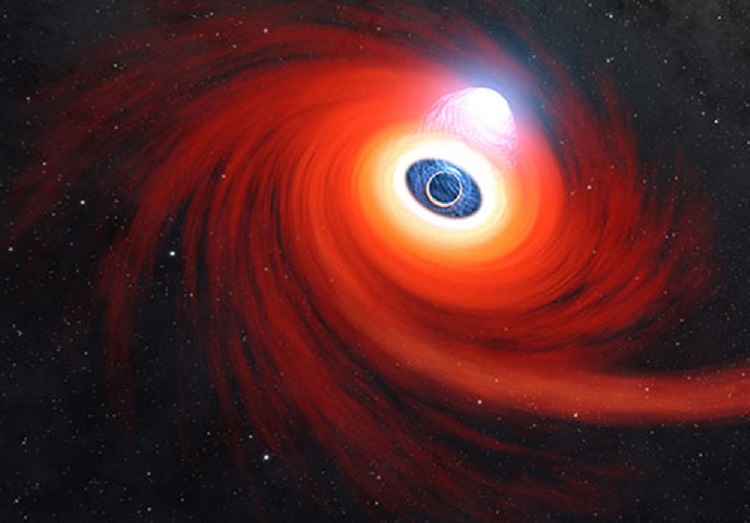 A glimpse of a black hole snacking on star