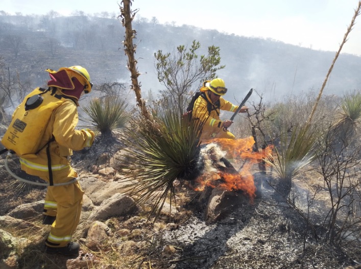 Forest fire rages in hills of Guanajuato City