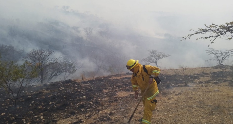 Guanajuato City Forest Fire 6