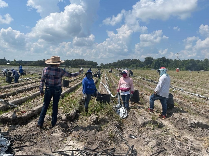 Guanajuato supports migrants in Florida