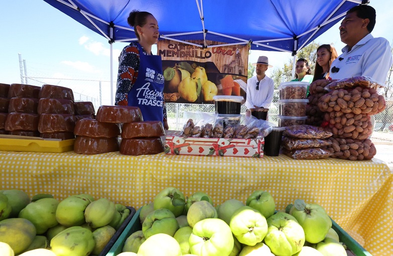 Sale of fruits starts in Jalpa de Canovas