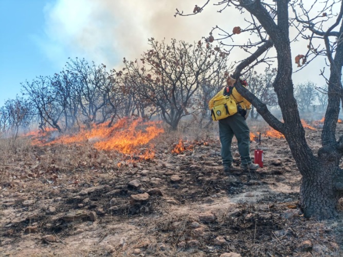 SMAOT prevents and avoids grass burning