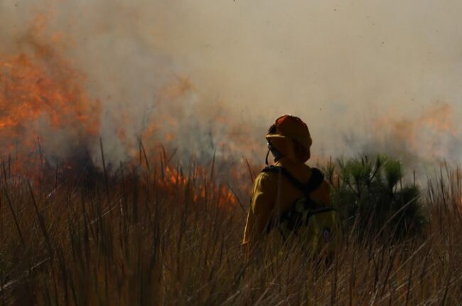 SMAOT Environment Protection Guanajuato 5