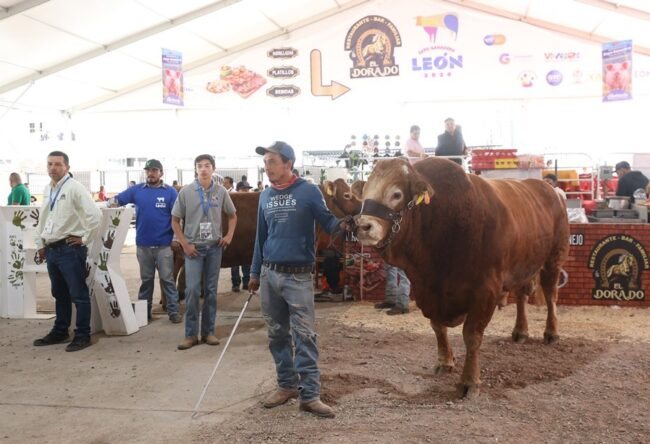 Expo Ganadera Livestock Leon State Fair Guanajuato 4