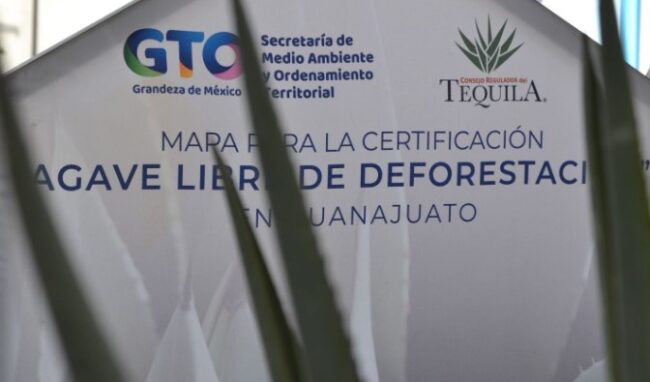 Tequila Environment Friendly Guanajuato 1