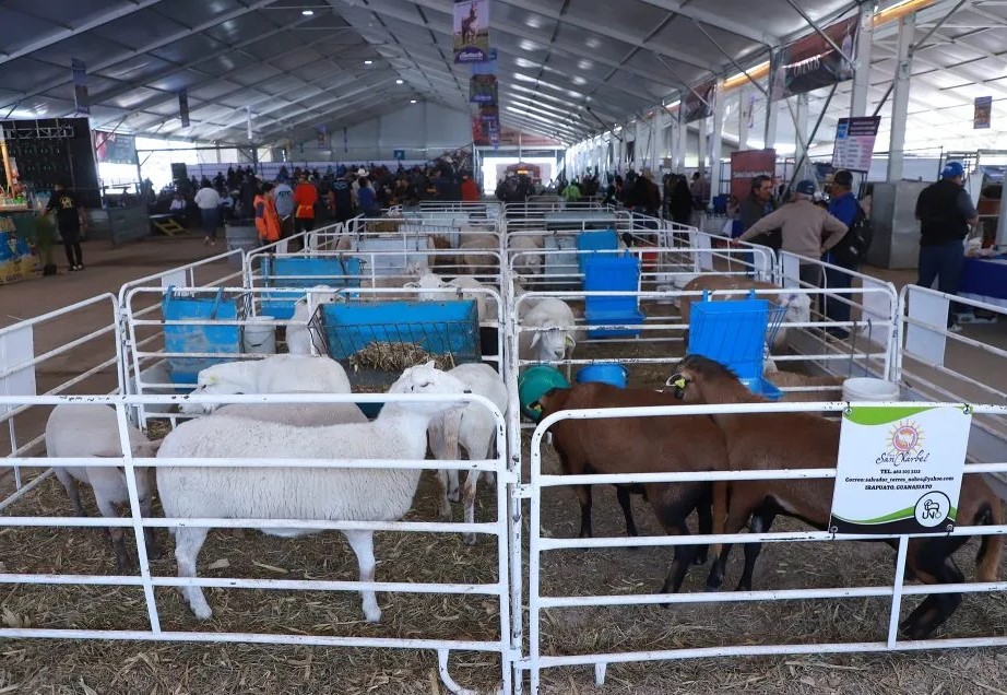 State supports stockbreeders in the Leon Fair 2024