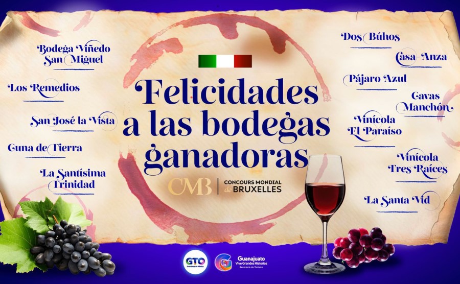 Guanajuatense wines win 24 CMB medals