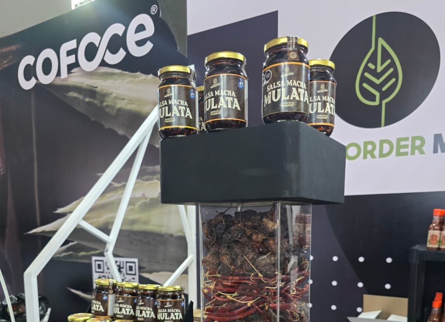 COFOCE hosts Agroindustry business meeting