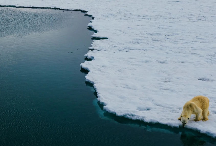 First day without ice in the Arctic is near