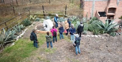 Mezcal producers from Guanajuato make history Mezcal producers from Guanajuato make history
