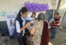 Vaccination All vaccines Guanajuato Secretary of Health