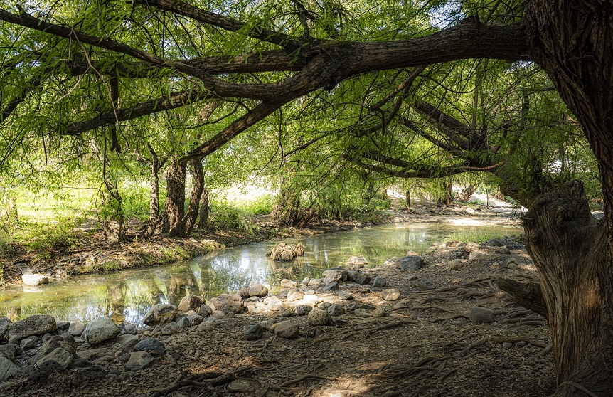 The environment is protected in Guanajuato