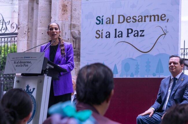 Public Security Guanajuato CONFIA Srategy