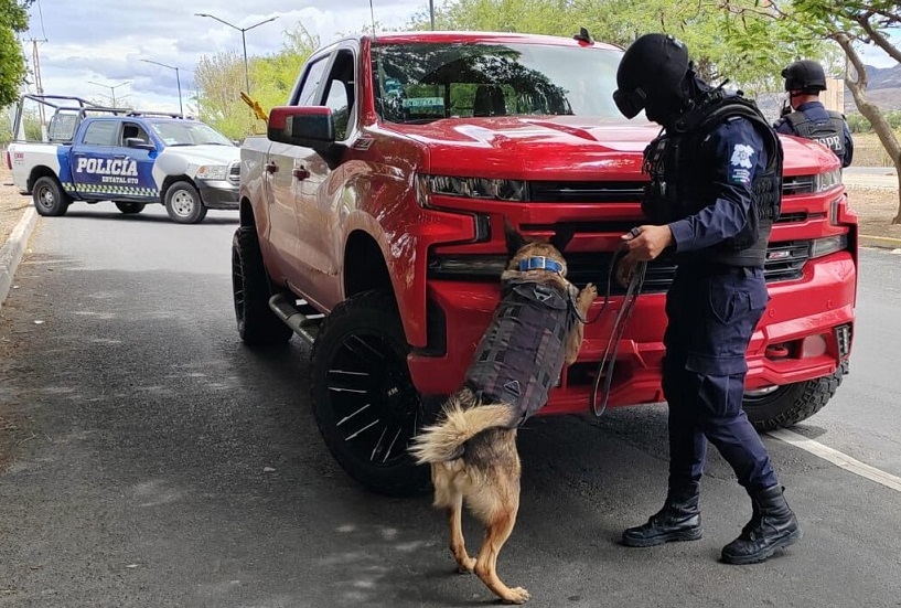FSPE-K9: Trust, discipline, and a sense of smell that protect