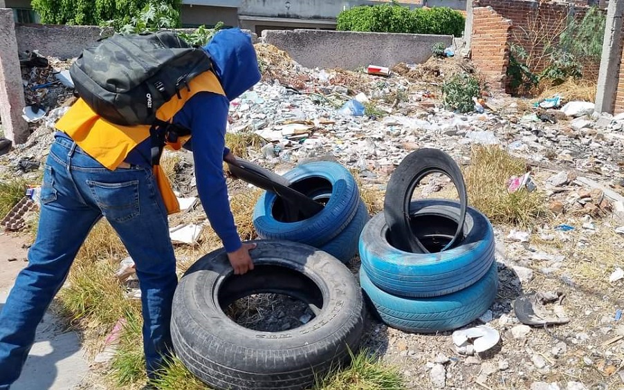 Junk is removed against illnesses in Romita