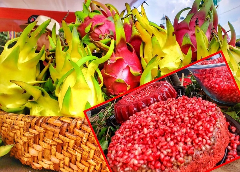 The 9th Pomegranate and Pitahaya Fair is presented