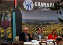 Grape Harvest Wine Industry Guanajuato