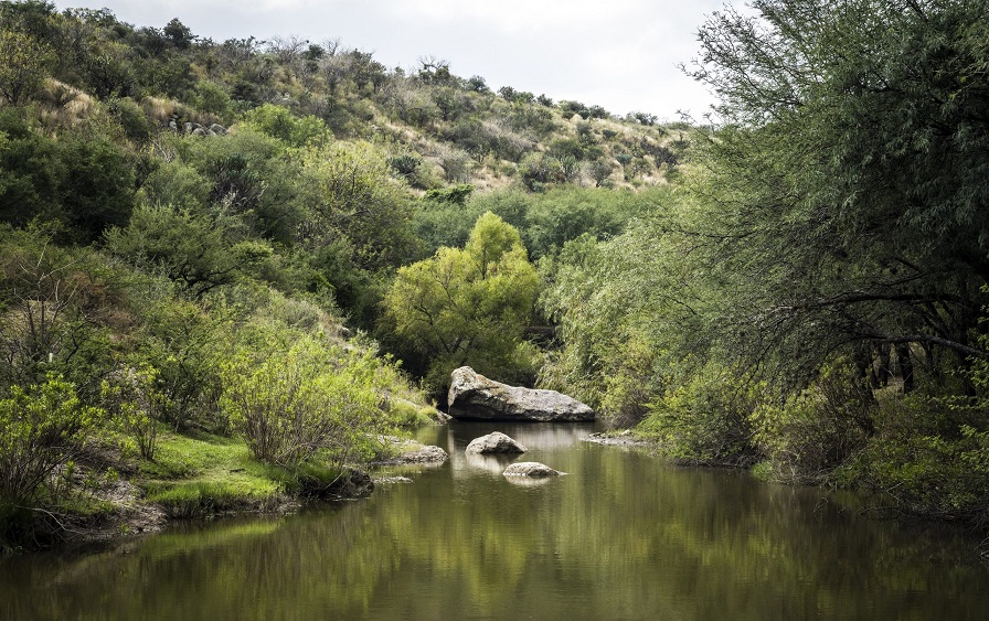 Anniversary of Protected Natural Areas to be commemorated