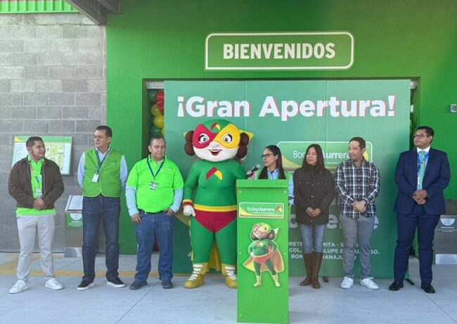 Bodega Aurrera Supermarket Romita Guanajuato Investment
