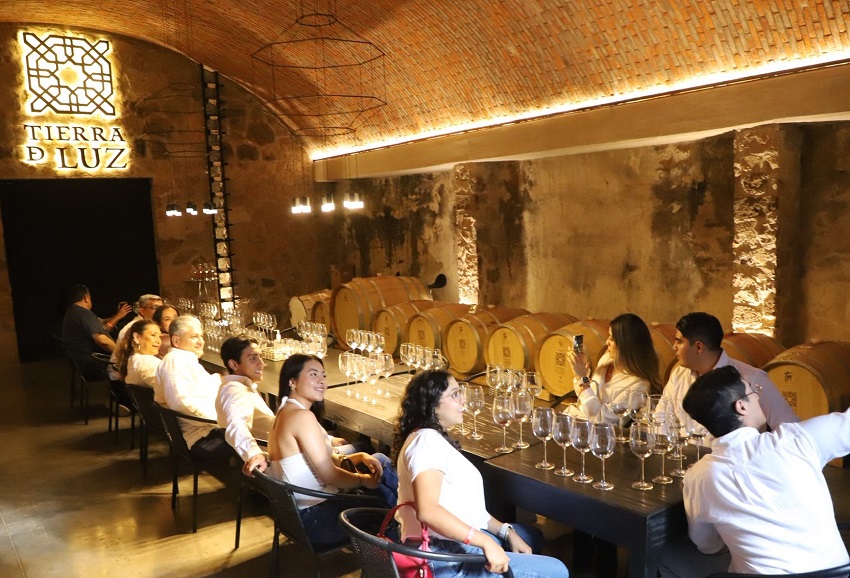 Guanajuato 2025 Wine Harvests were a success