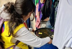 Dengue Actions Secretarey of Health Guanajuato