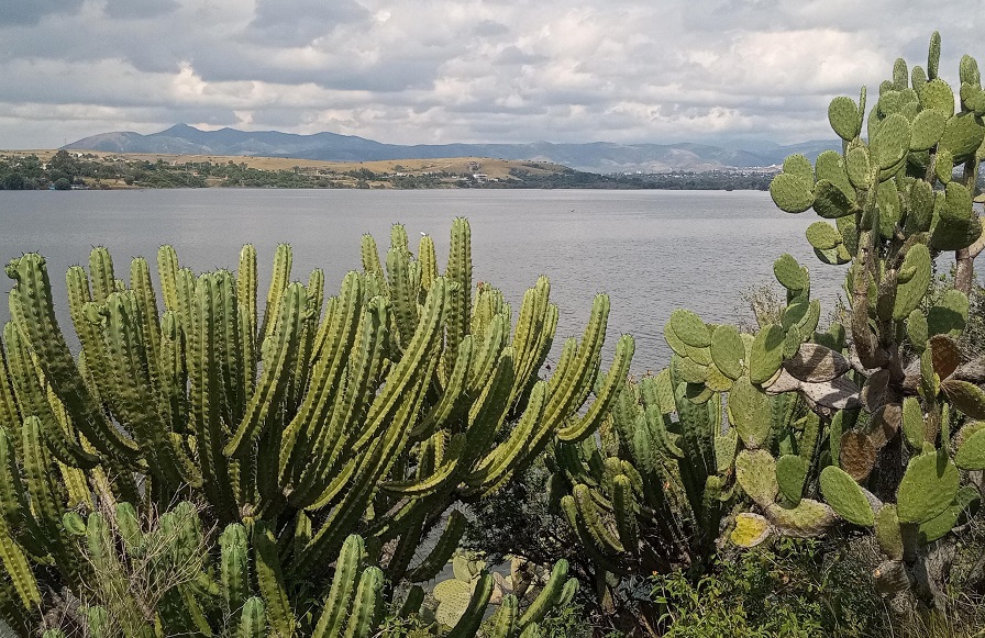 Celebrating 20 years as Protected Natural Areas