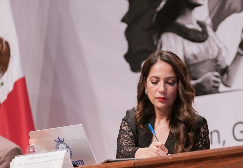 Electoral Reform Public Hearing Guanajuato