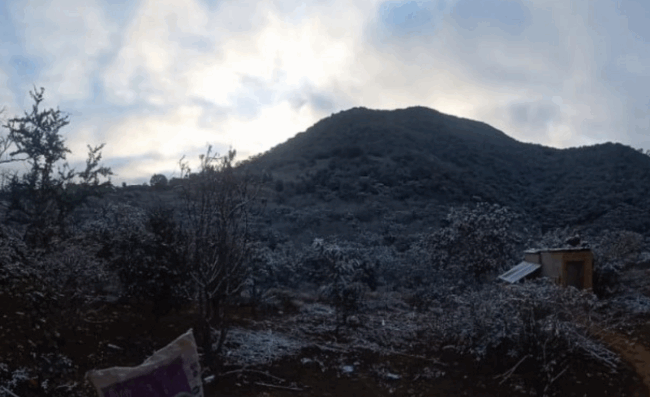 Cold Guanajuato Low Temperatures Warning