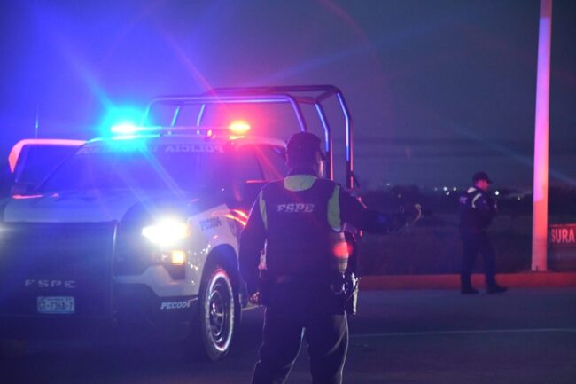 Security Guanajuato State Road Police