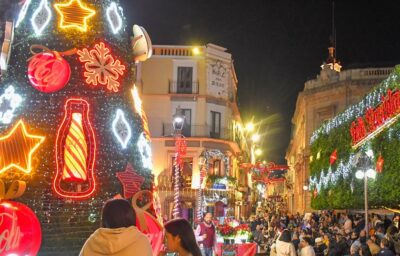 Turismo Guanajuato Visitantes Servicios