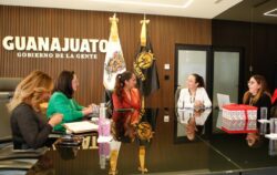 Airport Investment Guanajuato BJX